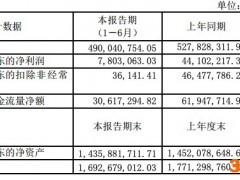 爱丽家居：扣非净利润降99.9%至3.6万元，ROE不足1%