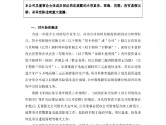 发布涉锂电池利好 股价大起大落 交易所关注函来了