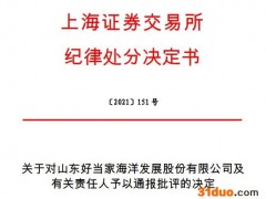 上交所对好当家(600467.SH)及有关责任人予以通报批评，该公司未能准确适用相关会计准则