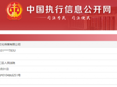 游族影业因三体广告纠纷被执行142万：迟迟未取得公映许可证且不退还广告费