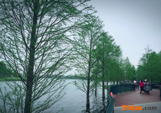 成考什么专业最热门？揭秘成考最有前景的五大专业？