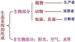 魔方格