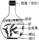 魔方格