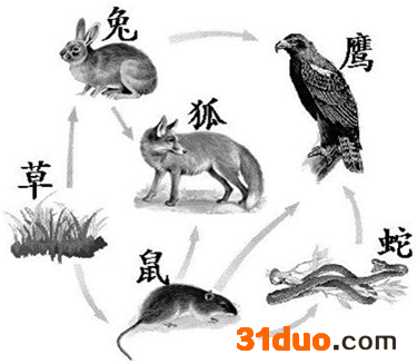 魔方格
