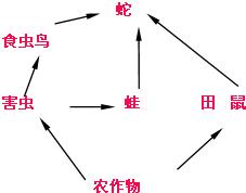 魔方格