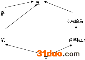 魔方格