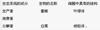 魔方格