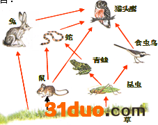 魔方格