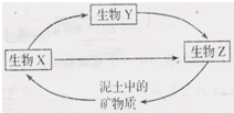 魔方格