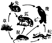 魔方格