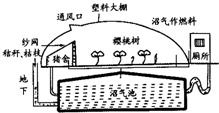 魔方格
