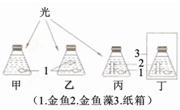 魔方格