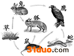 魔方格