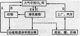 魔方格