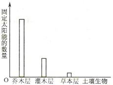 魔方格