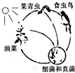 魔方格