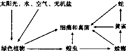 魔方格