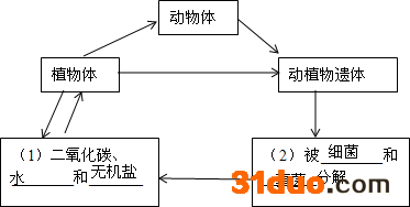 魔方格