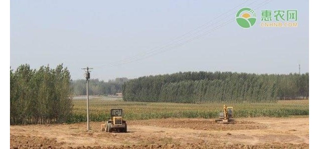 非农户口可以享受农村土地征收分配权吗？能够拿到征收补偿吗？