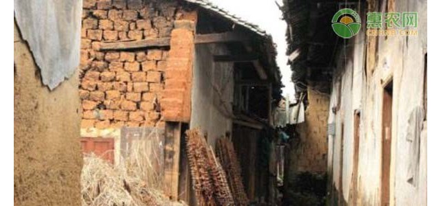 2021年农村老房子不拆了吗？拆旧房的目的是什么？