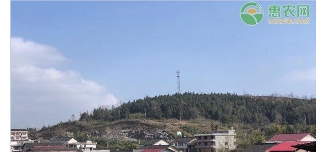 2021还能申请宅基地吗？申请宅基地需提交哪些资料？