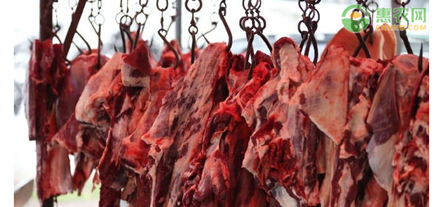 今日牛肉价格多少钱一斤？牛肉价格何时下跌？