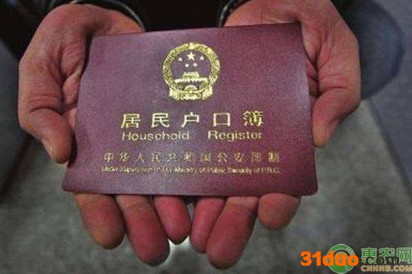 今日玉米价格多少钱一斤？近期玉米价格还会上涨吗？