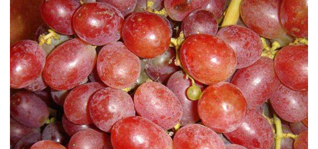 社保卡何时全国统一？人社部回应将实现一卡通办