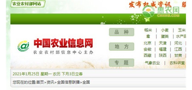 芒果降价了是什么原因？还会涨吗？