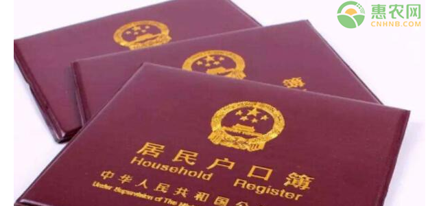 农村一个儿子可以分户吗？分户条件是什么？