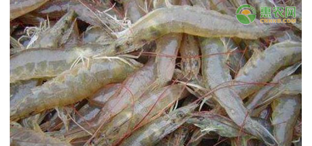 2021年4月份各地水产价格最新行情