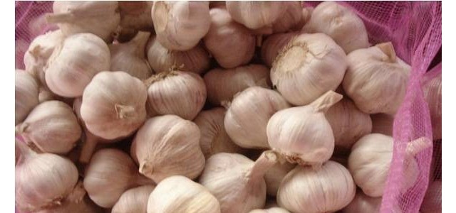 农村户口转城市户口社保怎么办？农村户口可以参加城镇社保吗？