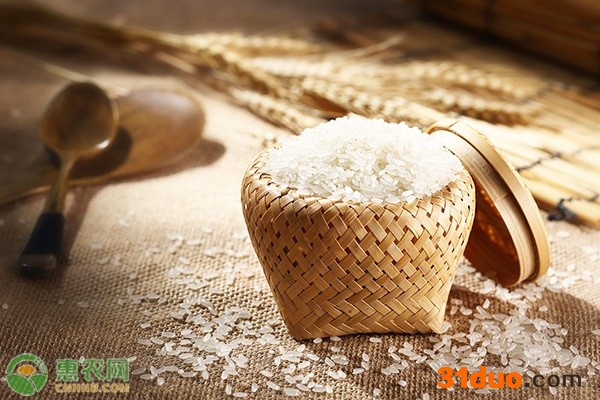 2021年4月大蒜价格最新行情分析（附4月1日大蒜价格）