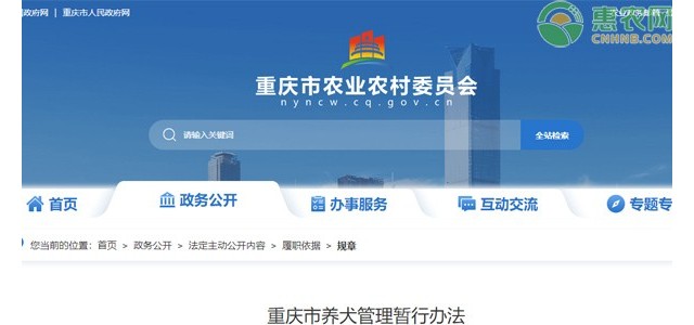 重庆市养犬管理暂行办法