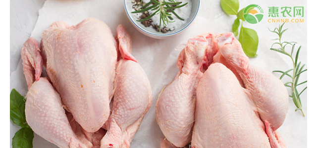 2021年4月份全国鸡肉价格最新行情
