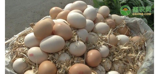 2021年4月份全国鸡蛋价格最新行情