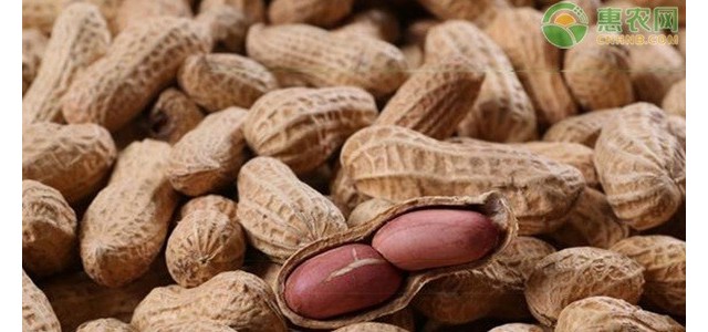 2021年4月花生价格及后期行情走势分析