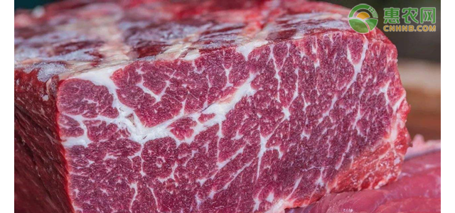 2021年牛肉价格多少钱一斤？牛肉价格为何上涨？