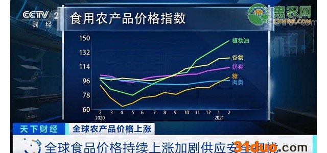 全球食品价格上涨是怎么回事？哪些食品上涨了？