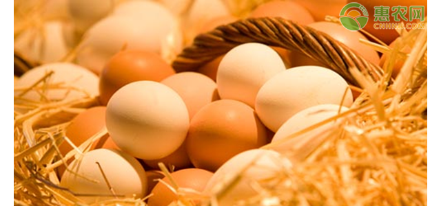 今日鸡蛋价格多少钱一斤？鸡蛋价格为何上涨？