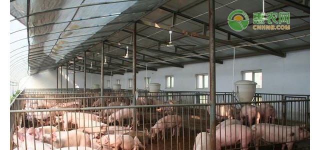 2021年第11周：全省生猪、肉鸡价格下降，鸡蛋、肉牛、肉羊价格稳定 （3月8日—3月14日）