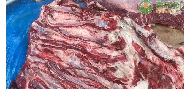 2021年3月牛肉价格行情走势预测（附今日最新价格）