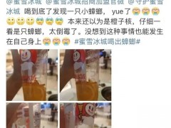 蜜雪冰城饮料喝出“小强”，店家的回应让事情又陷入迷雾……