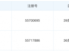 国丰文化成功申请两枚“元宇宙”商标？尚未进入实质审查