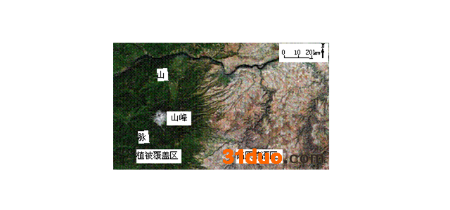 下图为45°N附近某区域的遥感影像，其中深色部分为植被覆盖区，浅色部分为高原荒漠区;终年冰雪覆盖的山峰海拔3 424米，距海约180千米。读图，完成下列各题。小
