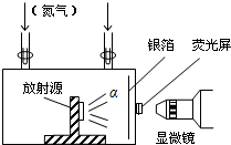 魔方格