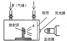 魔方格