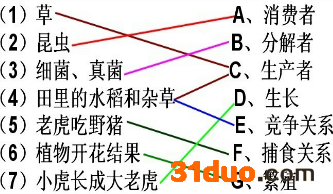 魔方格