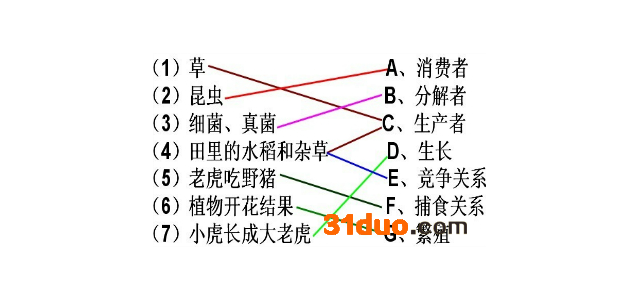 草A、消费者：昆虫B、分解者：细菌、真菌C、生产者：田里的水稻和杂草 D、生长老虎吃野猪 E、竞争关系植物开花结果 F、捕食