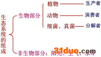 魔方格